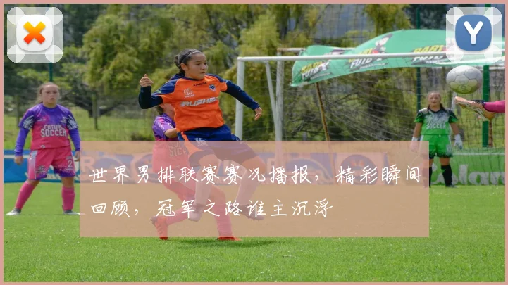 世界男排联赛赛况播报,精彩瞬间回顾,冠军之路谁主沉浮