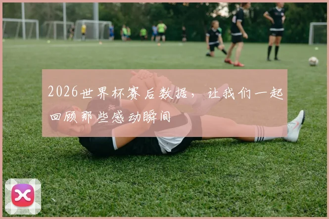 2026世界杯赛后数据,让我们一起回顾那些感动瞬间