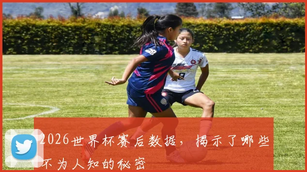 2026世界杯赛后数据,揭示了哪些不为人知的秘密