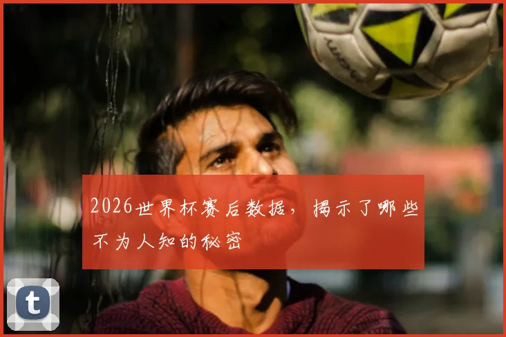 2026世界杯赛后数据,揭示了哪些不为人知的秘密
