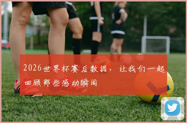 2026世界杯赛后数据,让我们一起回顾那些感动瞬间